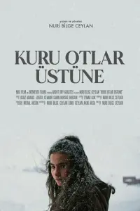 О сухой траве